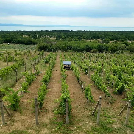 Napraszállás Balatonakali