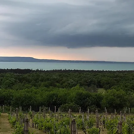 Napraszállás Vendégház Balatonakali