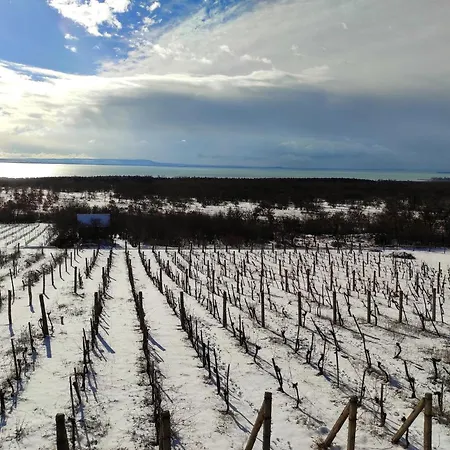 Napraszállás Vendégház Balatonakali