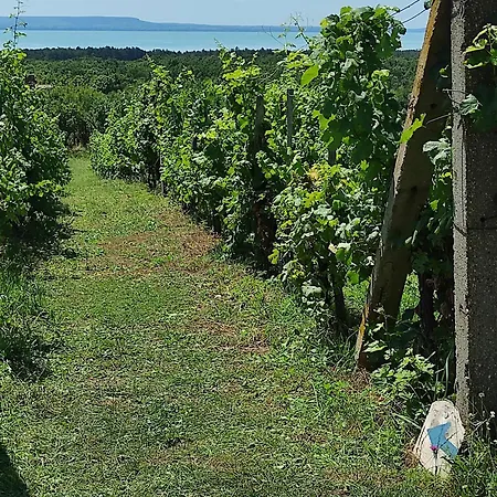 Vendégház Napraszállás