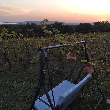 Napraszallas Vendeghaz 4*