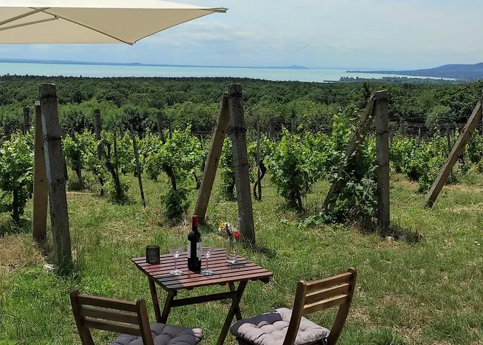 Guest house Napraszallas Vendeghaz 4*