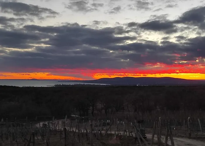 Napraszallas Vendeghaz Guest house