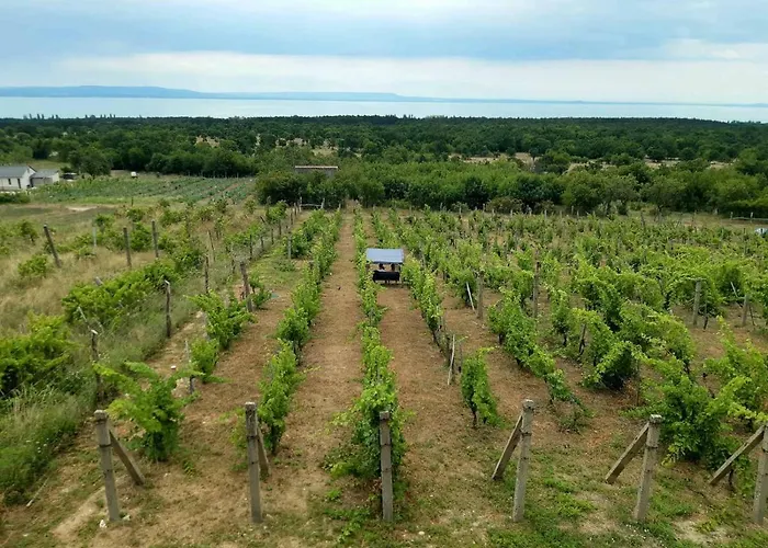 Napraszállás Balatonakali