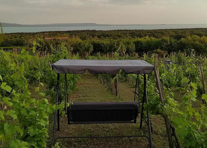 Napraszallas Vendeghaz