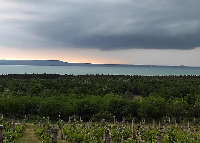 Napraszállás Maison d'hôtes Balatonakali