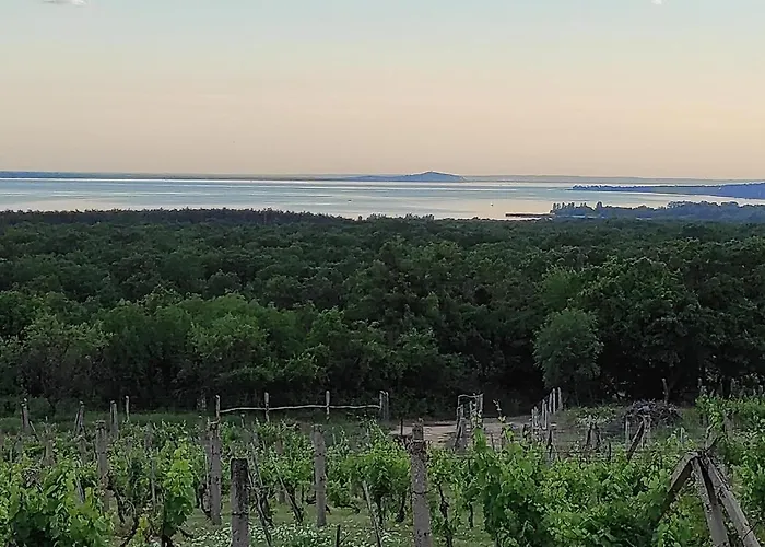 Napraszallas Vendeghaz