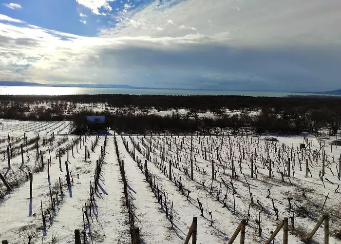 Napraszállás Maison d'hôtes Balatonakali