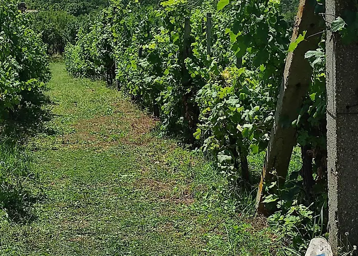 Guest house Napraszallas Vendeghaz