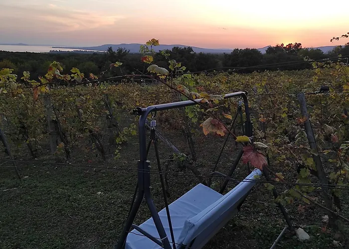 Napraszallas Vendeghaz 4*